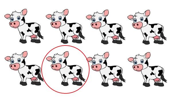 Optyczna zagadka IQ ze wskazanym błędem